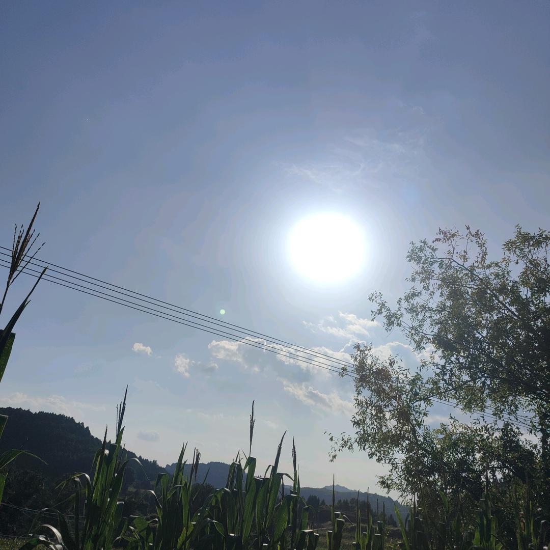 一路繁花头像