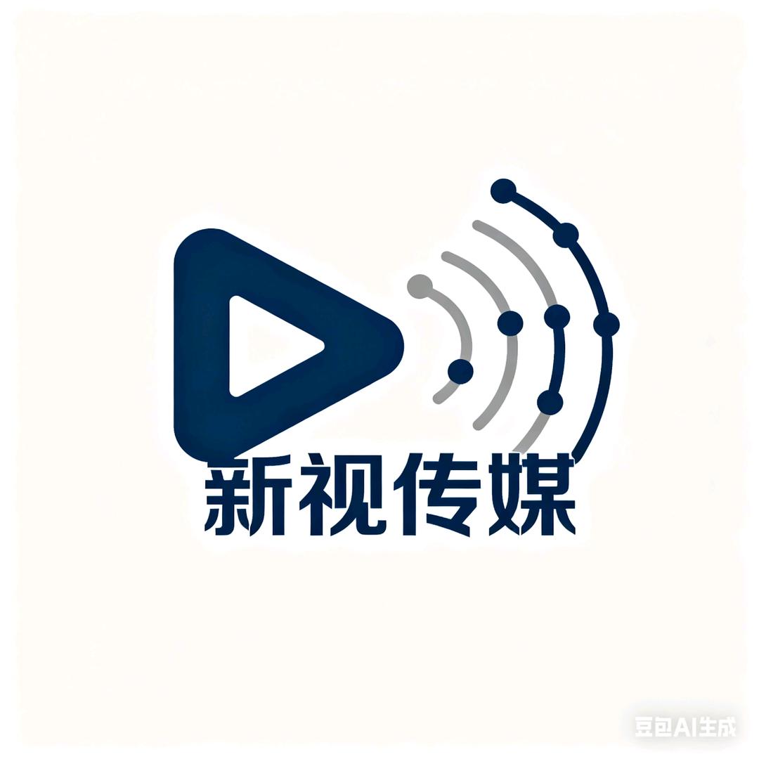 新视传媒