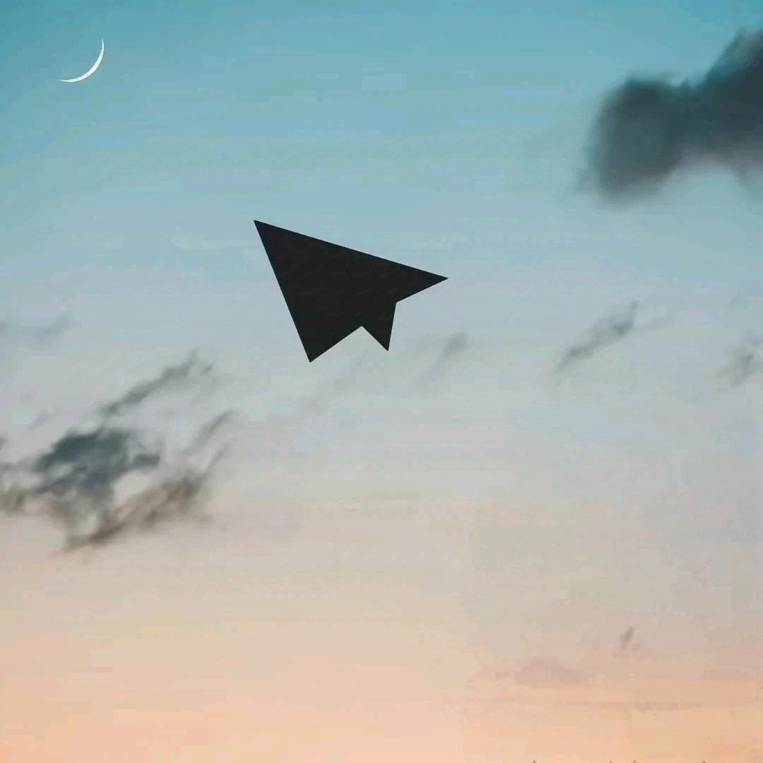枯木逢春︒