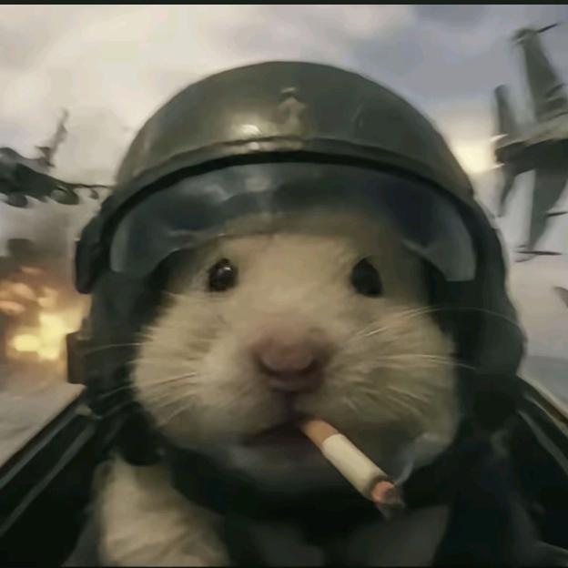 每天必听周杰伦