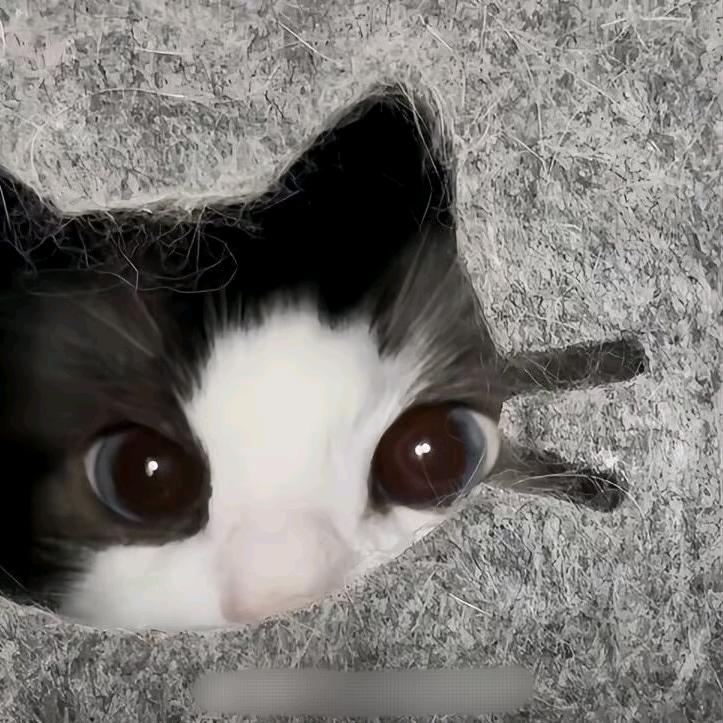 念爻