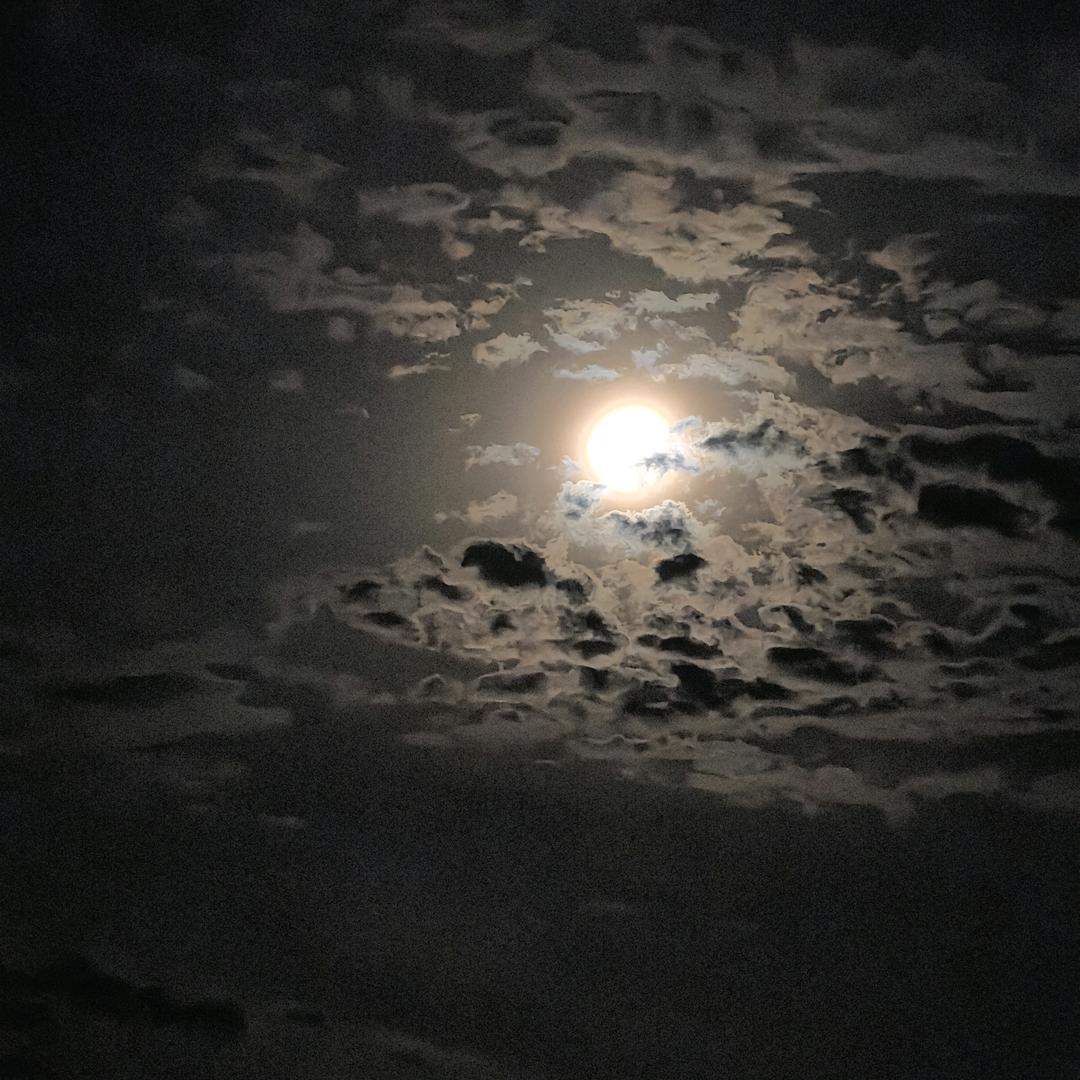 里ho地理君