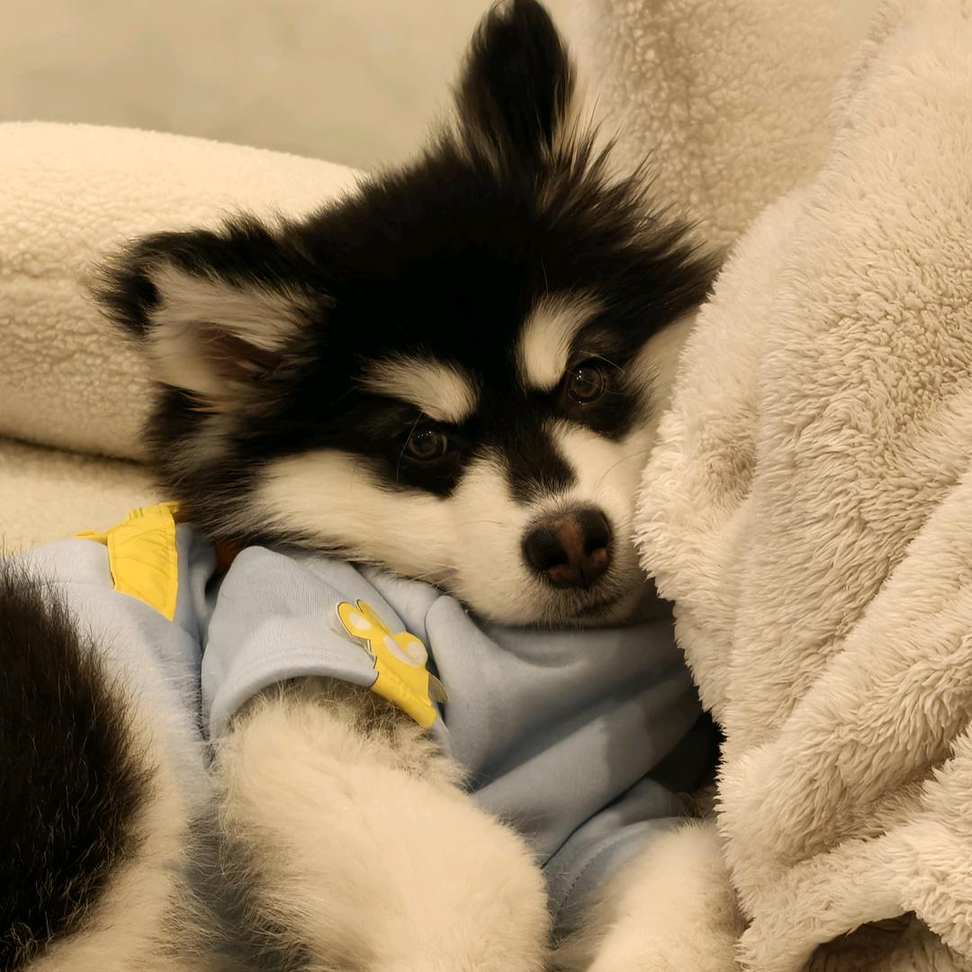 王初初的生活日常