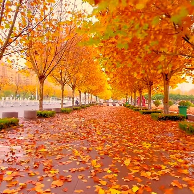 对方正在输入中…