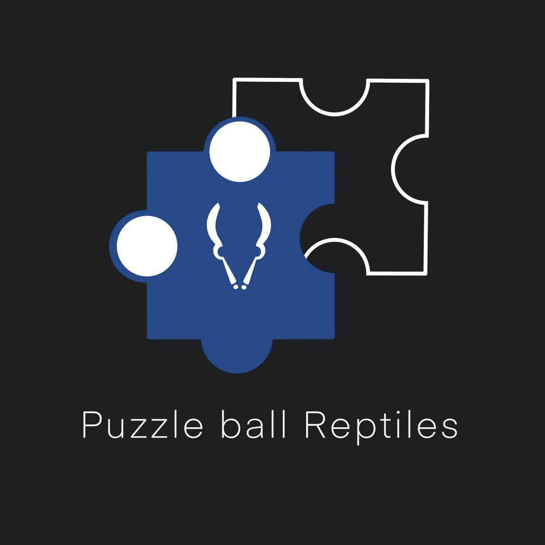 拼球-puzzle ball🧩