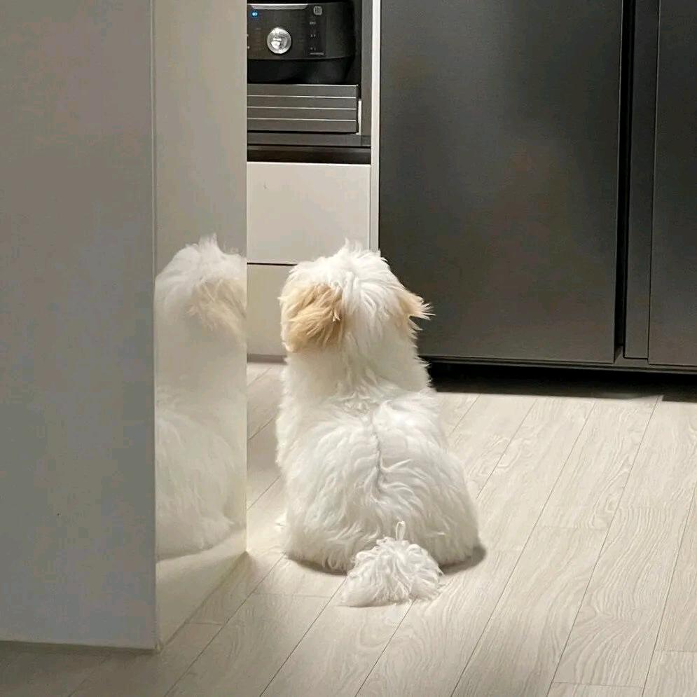 一起去跳海吧。