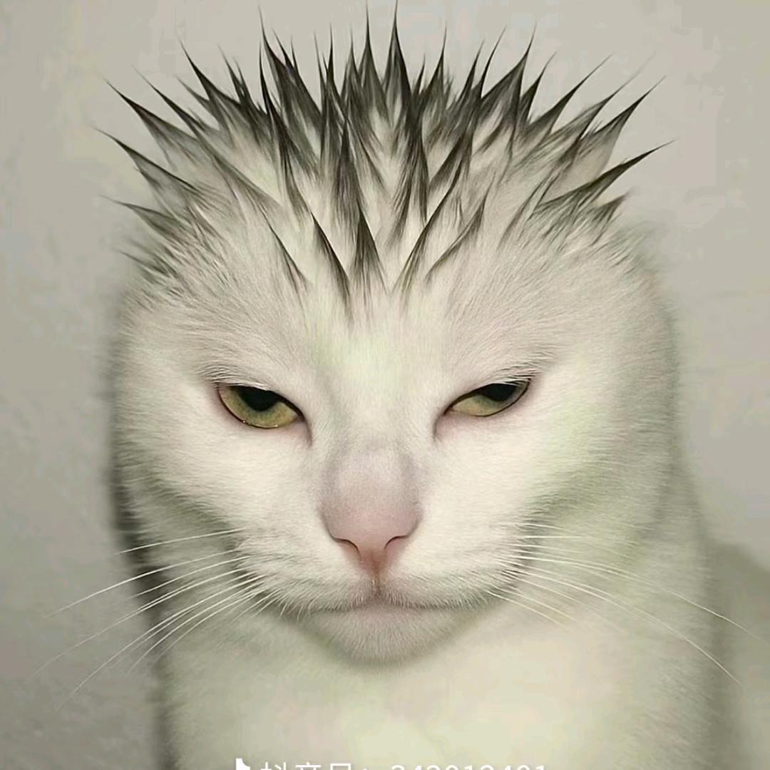 皮蛋瘦肉周߹ᯅ߹