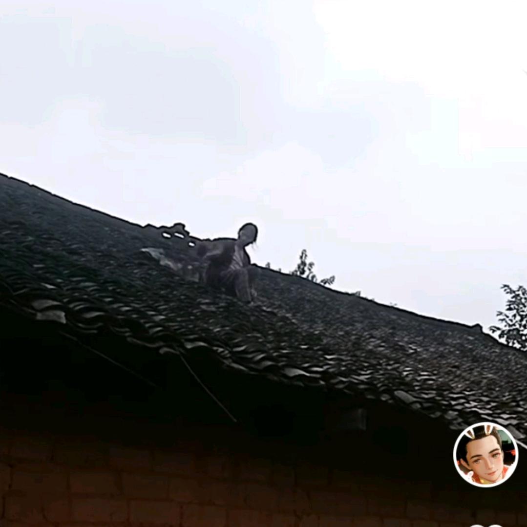 继馈保津