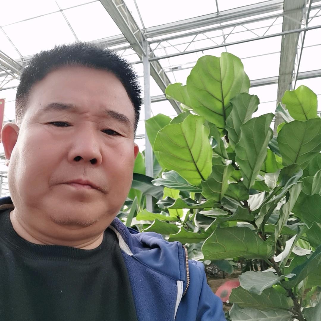 虎踞龙盘
