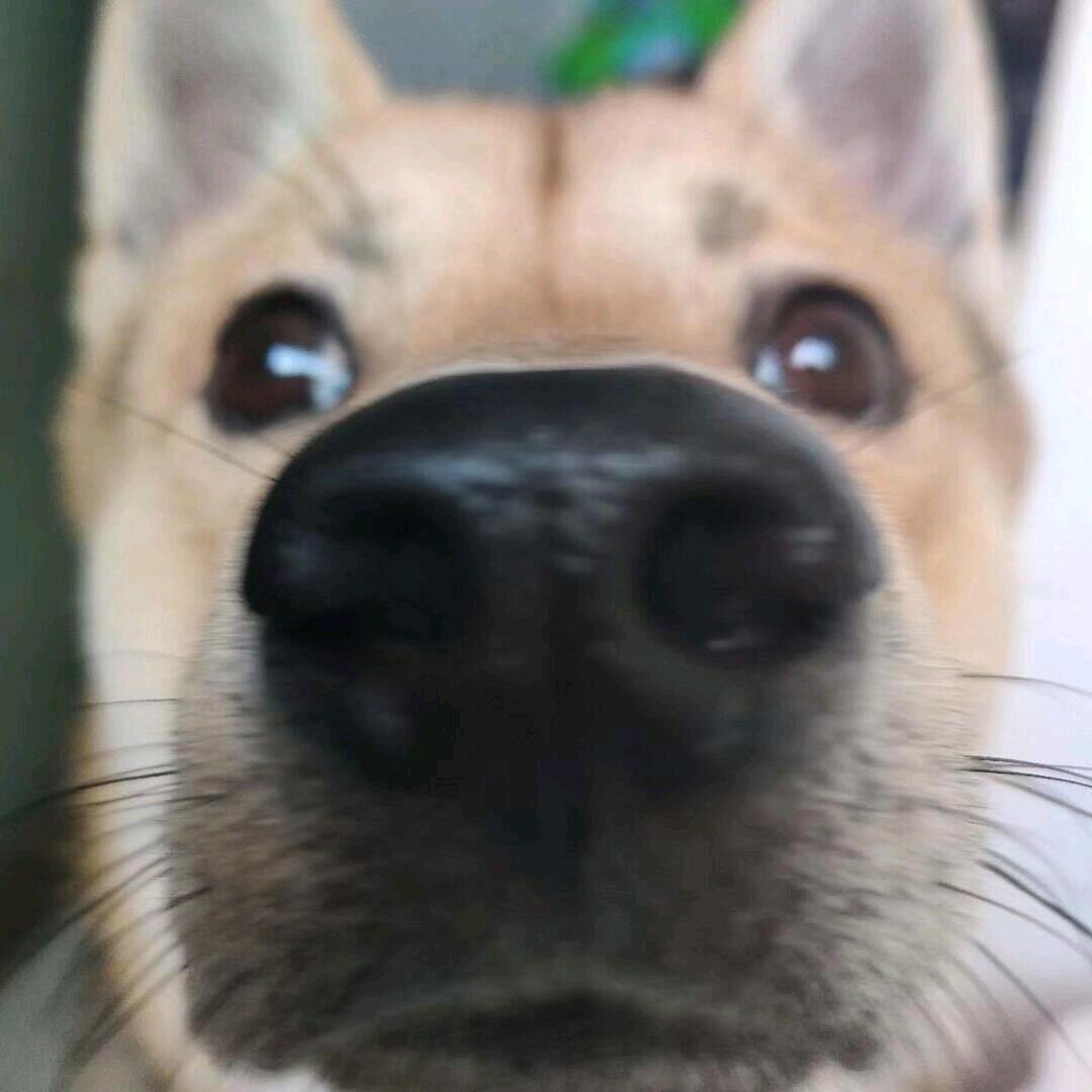 等我想好名字再改