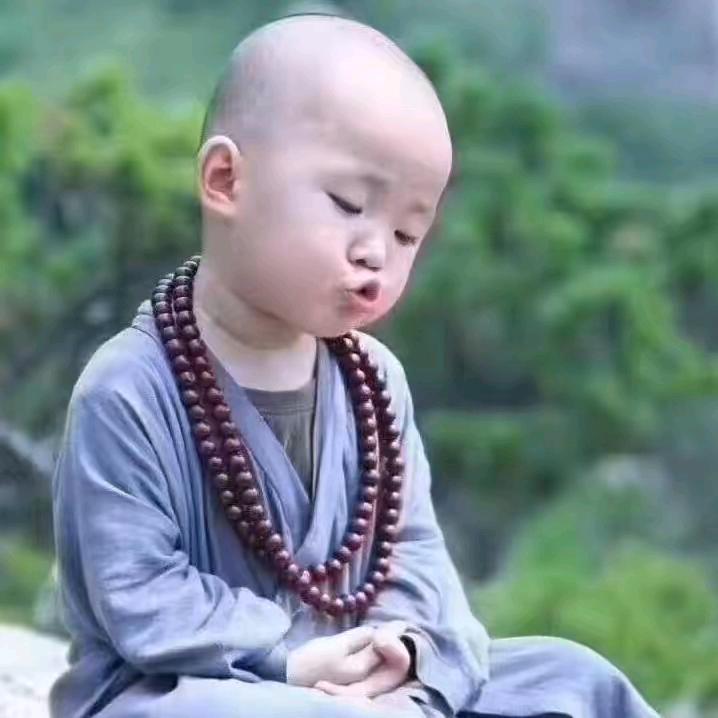 满山猴子我定最红