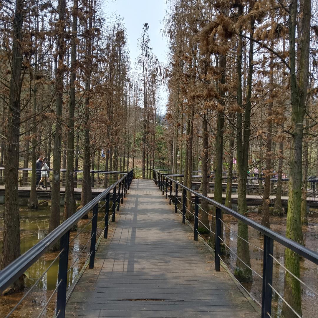 🐻‍❄️🐻‍❄️兴义