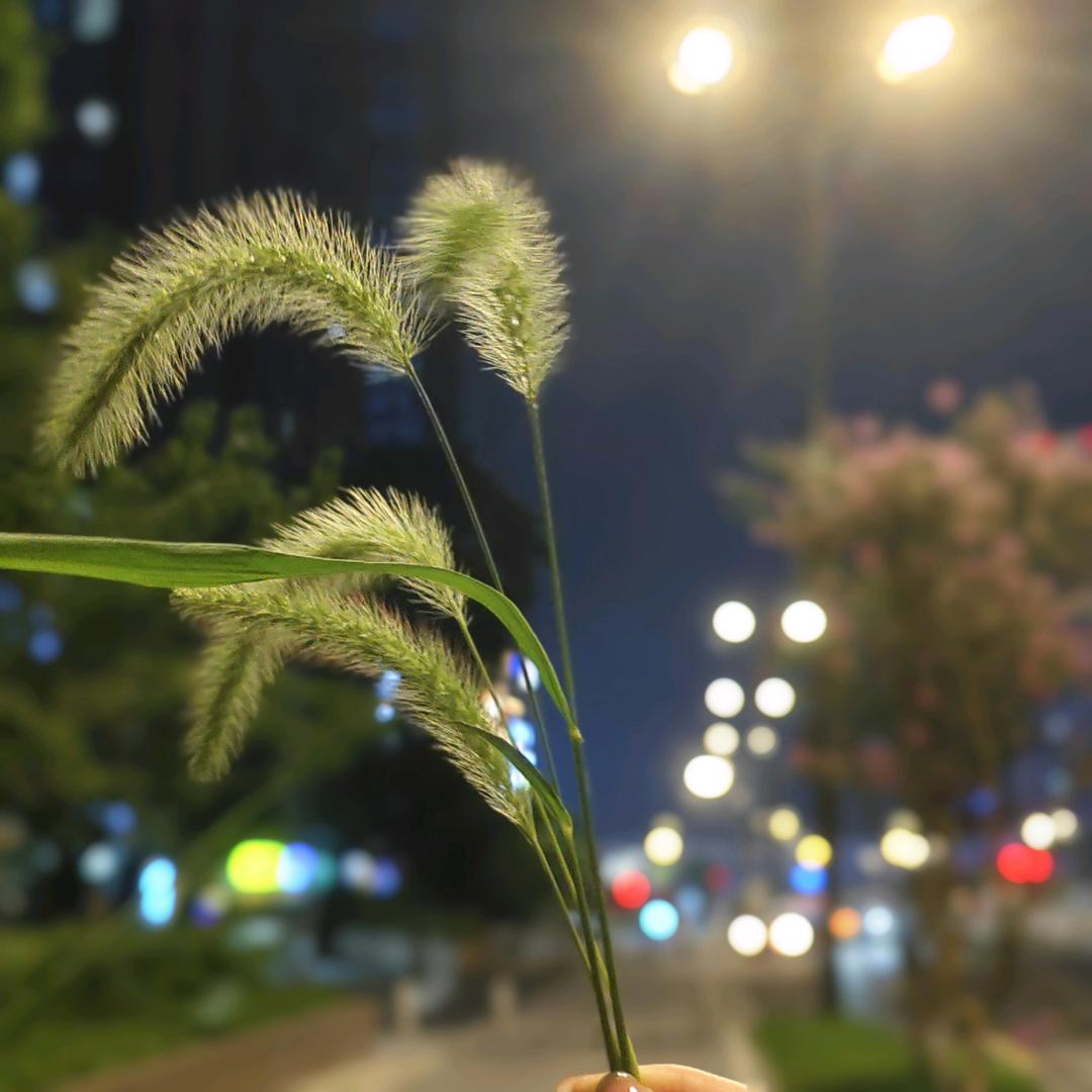 🍀🍀欣哥🇨🇳