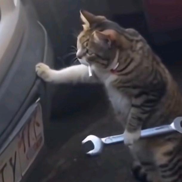 清纯小男生的私人日记