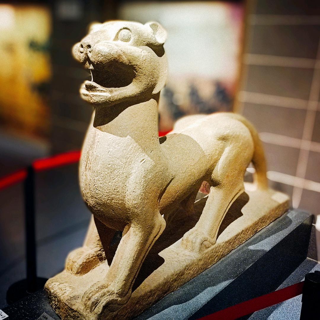 王东养生