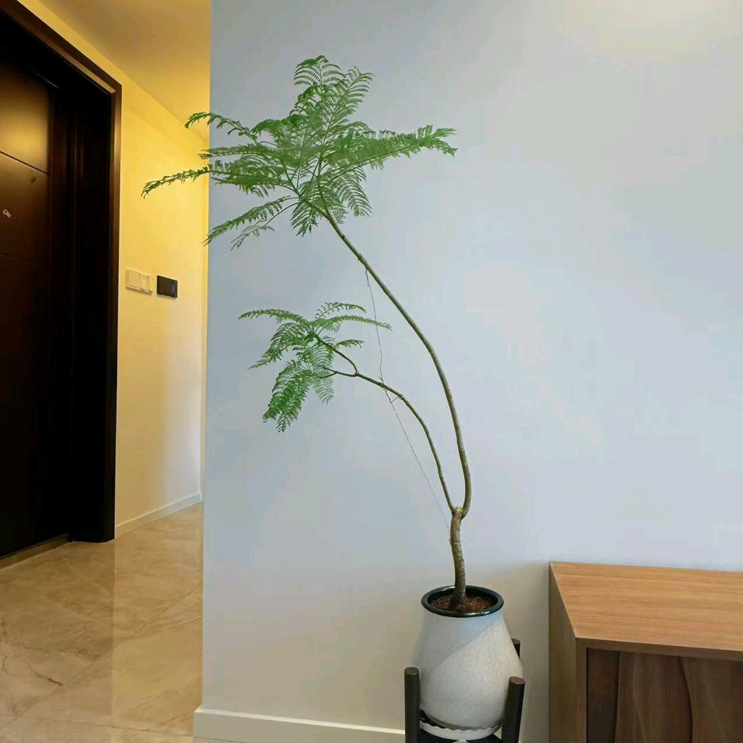 莫问前程