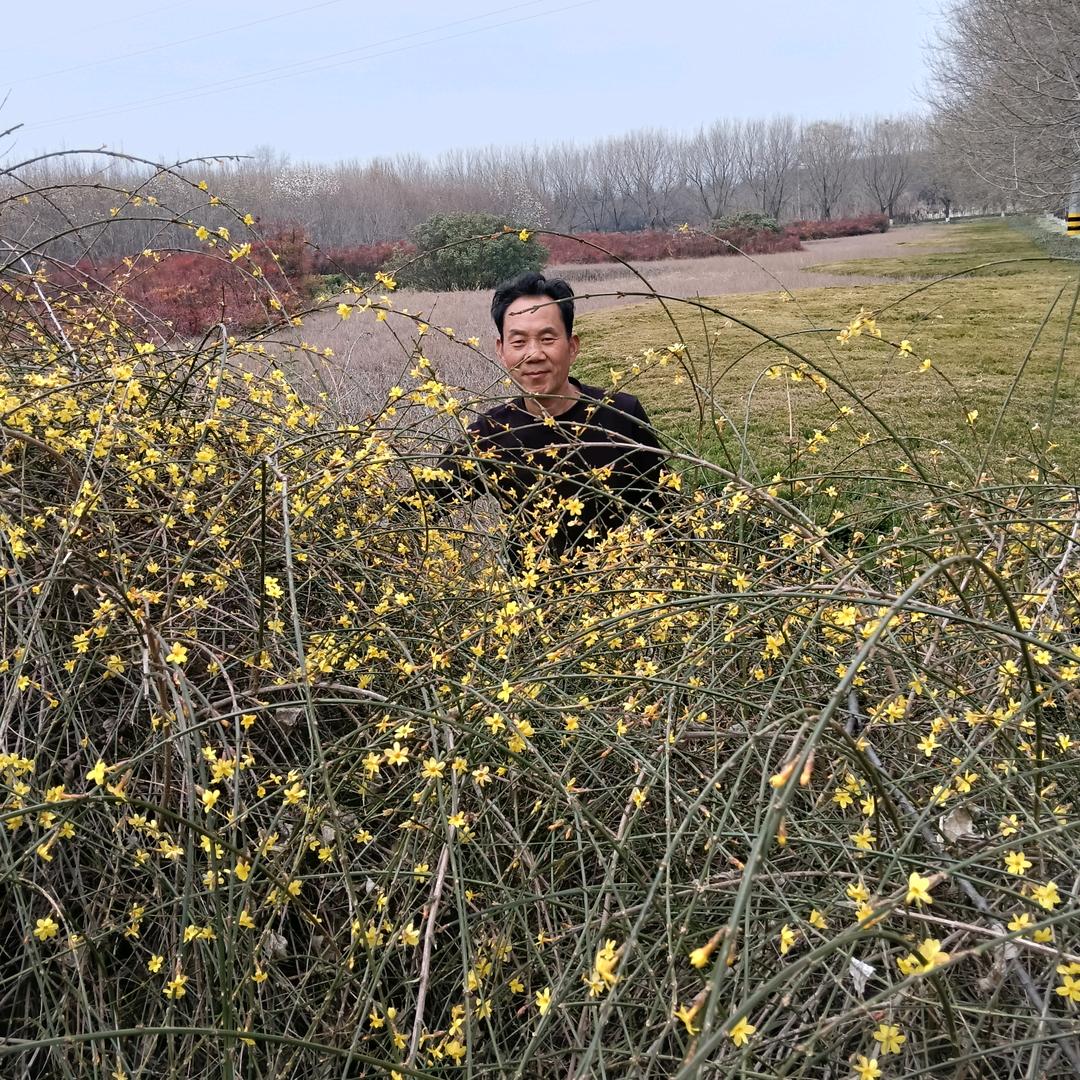 曾宪麟运输生活坊