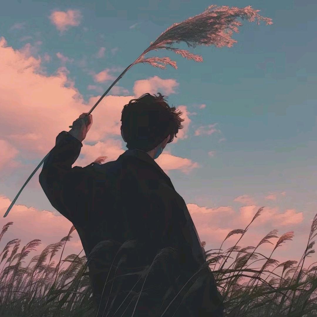南禾苗木花卉
