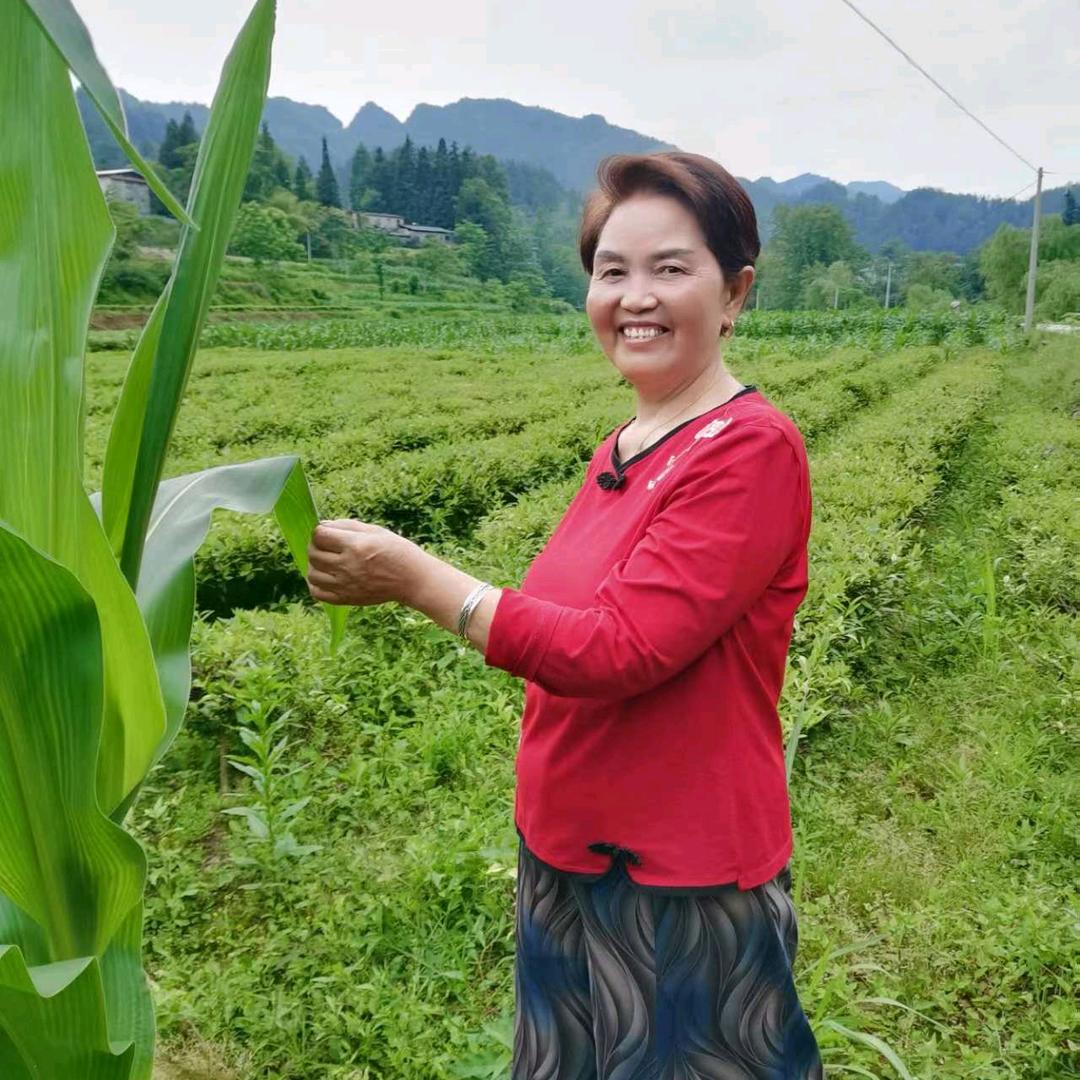 年年幸福