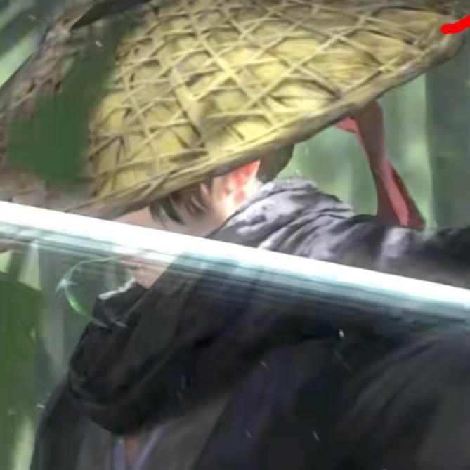 三谋武诸葛大人