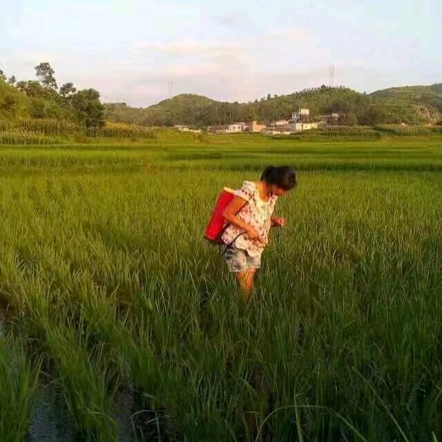 贵州付姐好物分享)