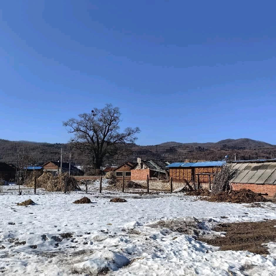 白左-原创音乐人