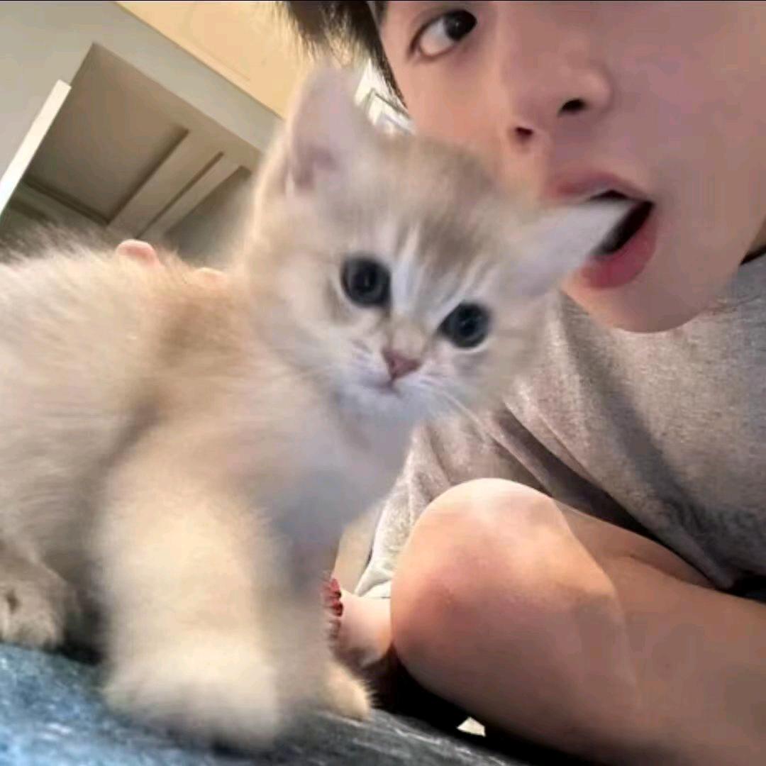 红尘爱恋皆为心境映照