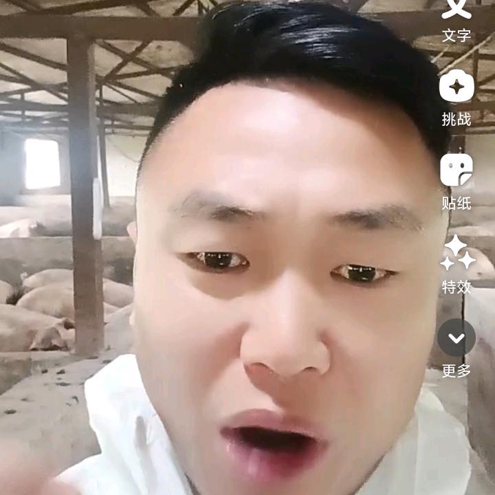 猪价分析,三疯哥