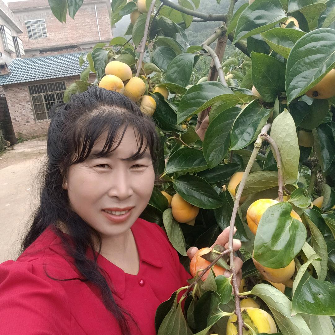 桃桔园
