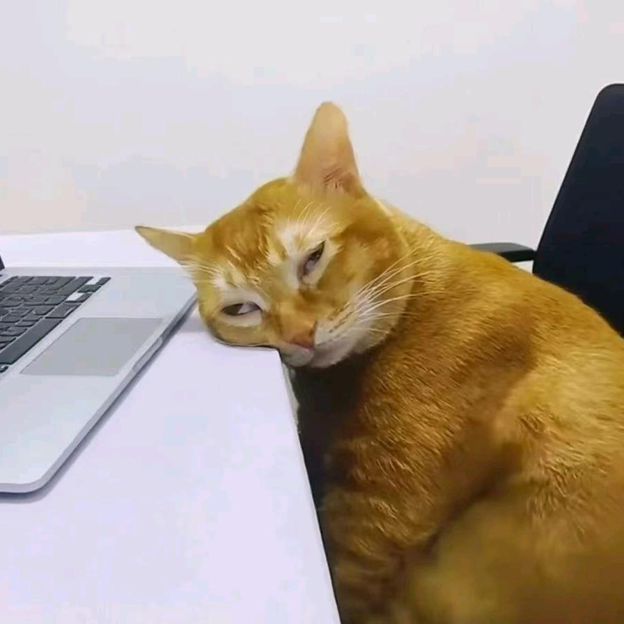 爱玩游戏的廾匸🦨