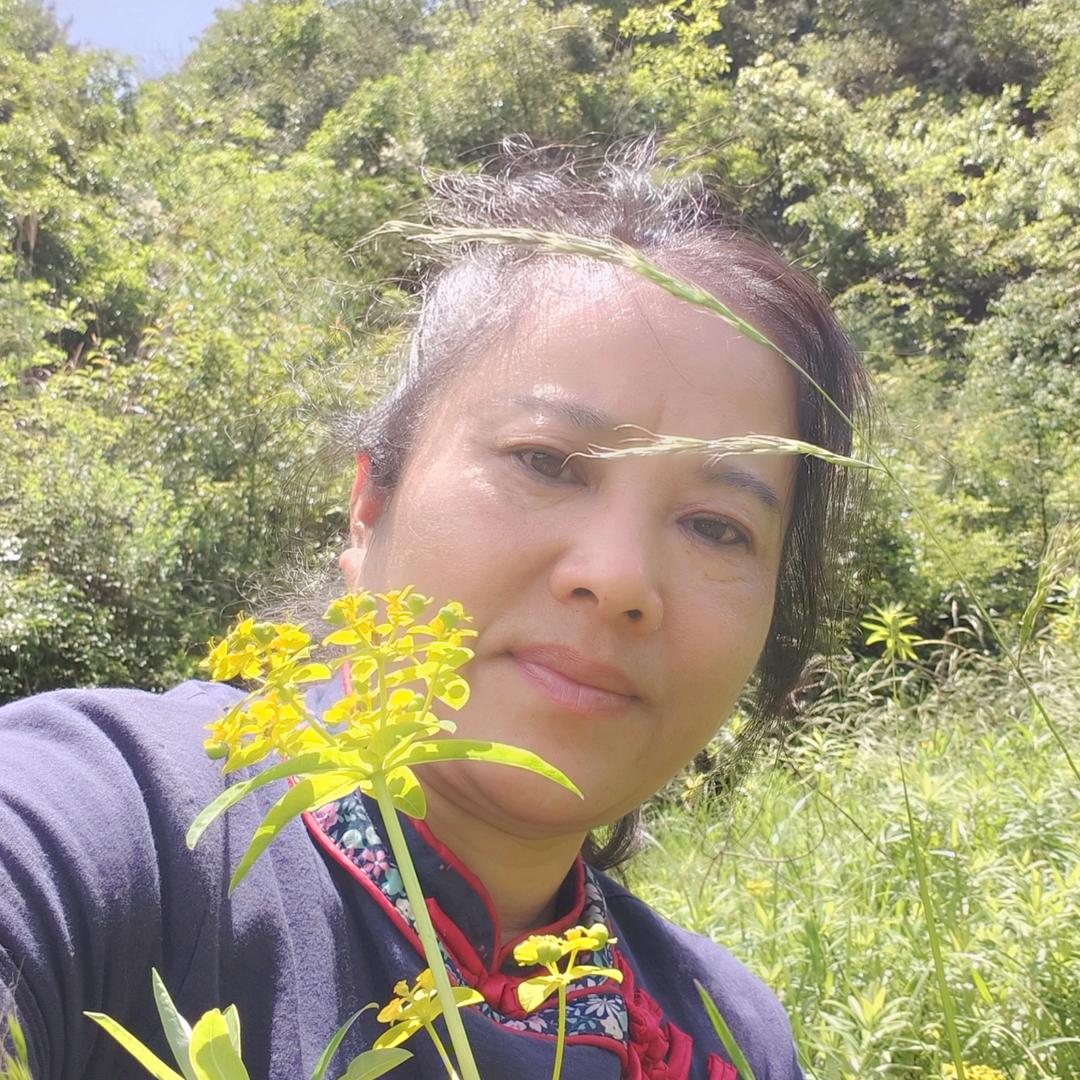 黔山百草