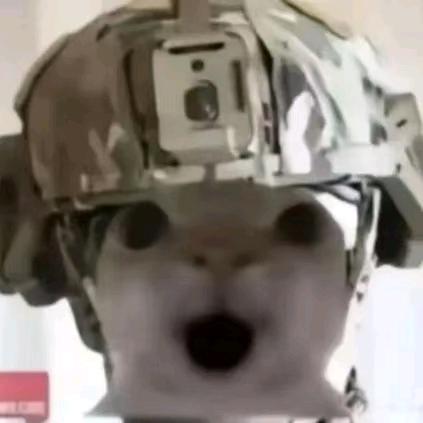 谢毛毛.（暗区突围pc）