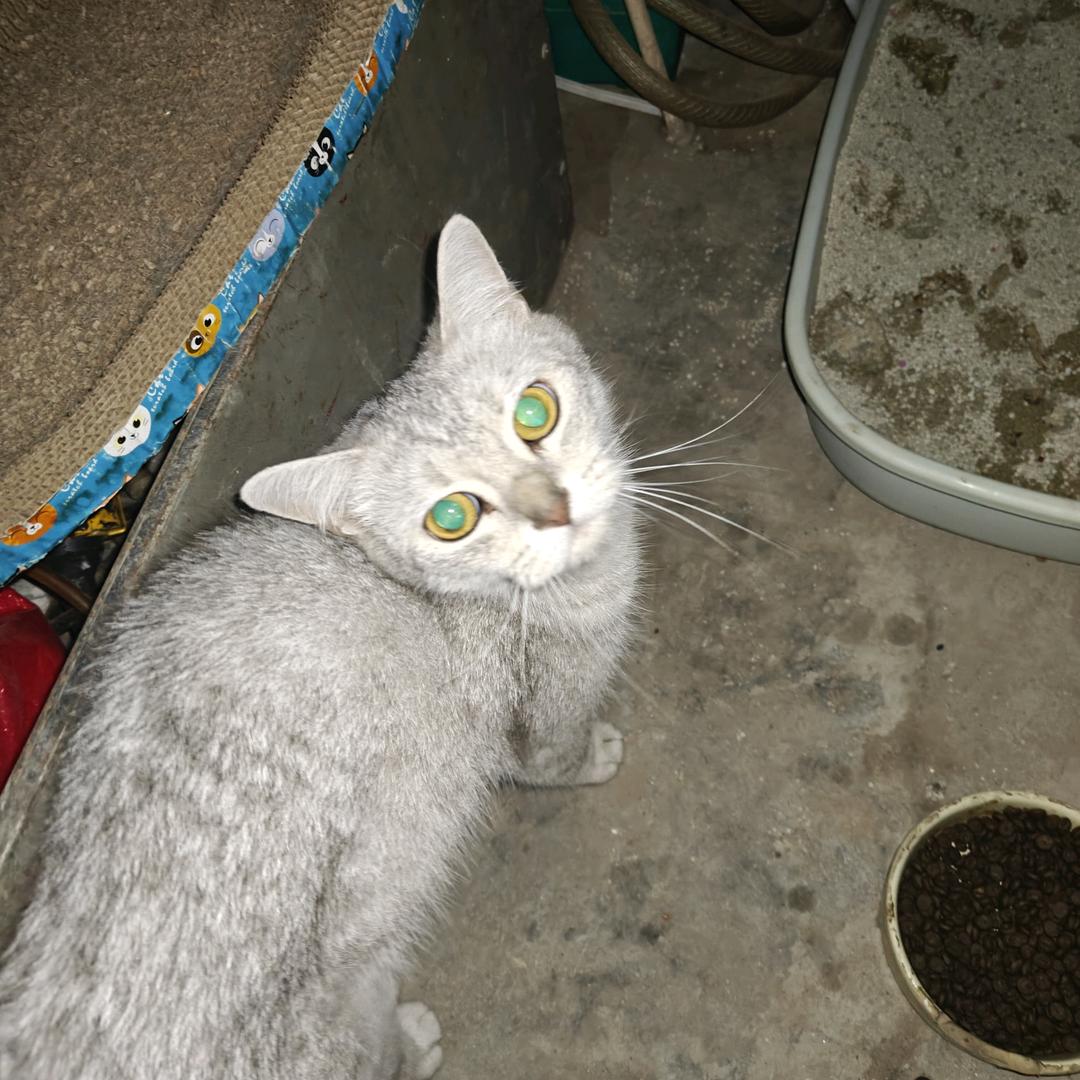 阳光开朗大男孩