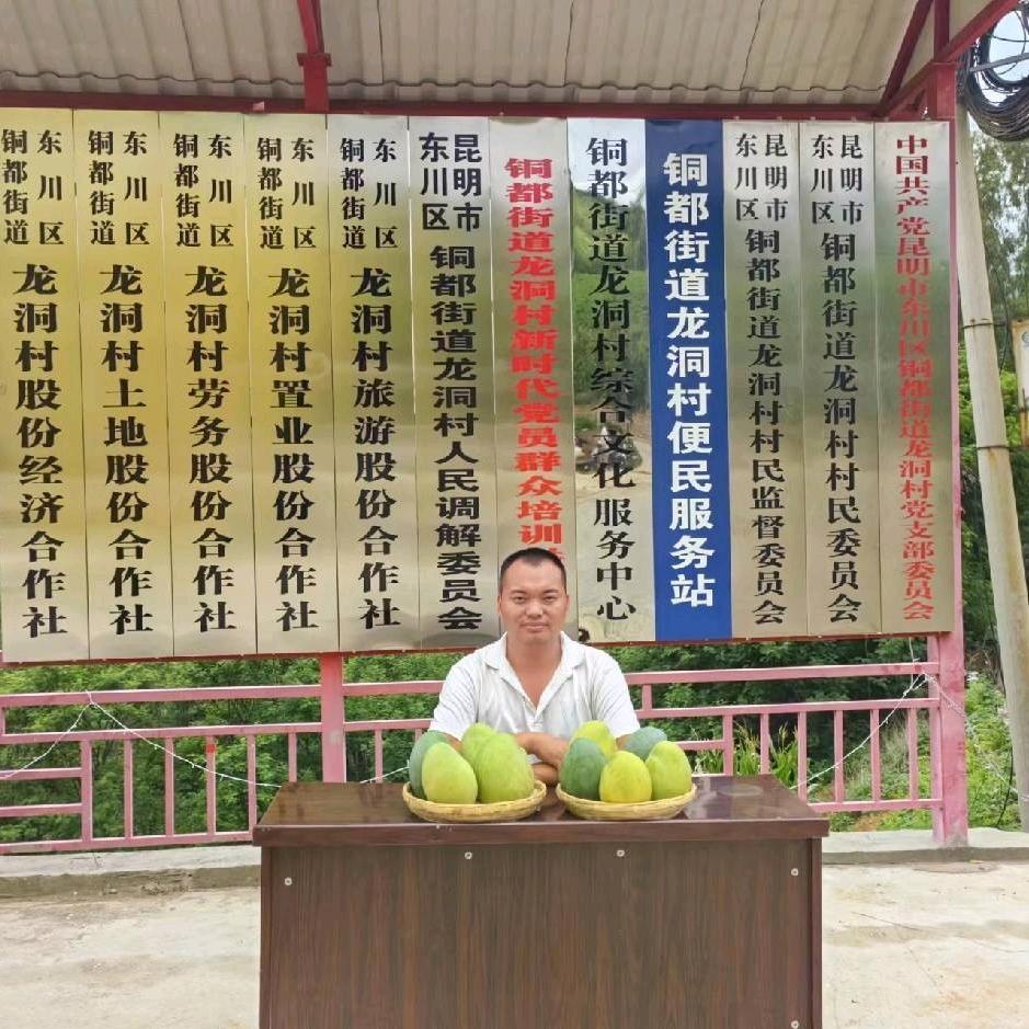 东川龙洞小何书记(云南)
