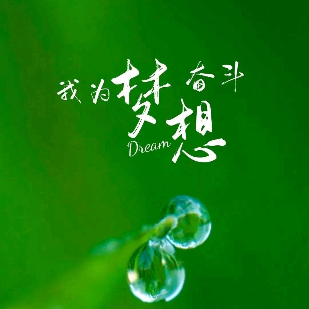 彩蝶🦋