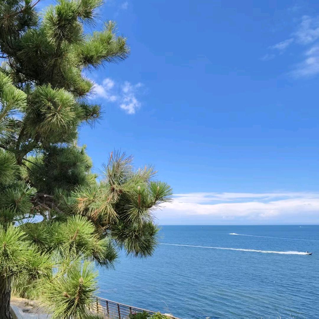 投流老马(巨量引擎➕千川)