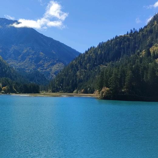 💧吉吉瑞🦌🦌🌙🌙