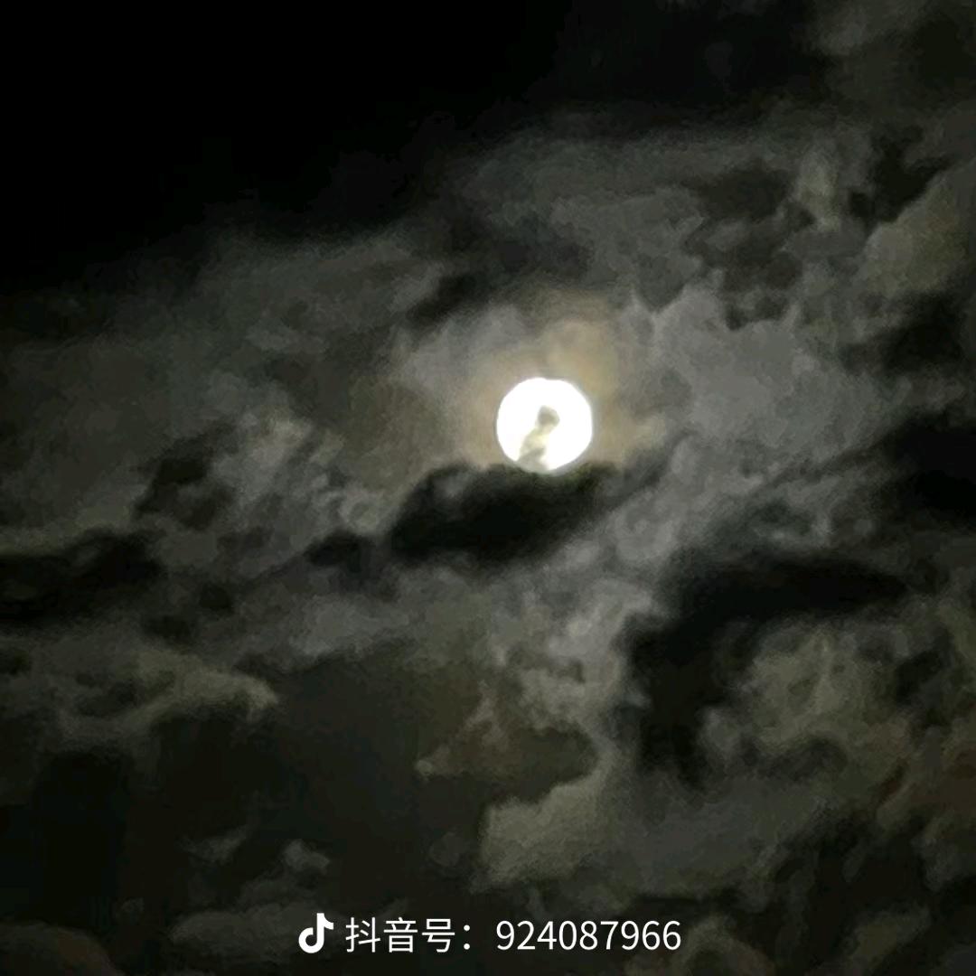 追着幸福跑