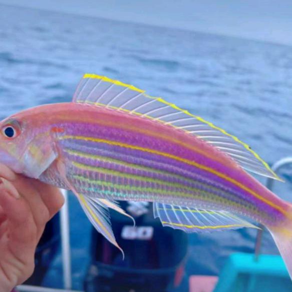 ≈Zyy经营海鲜    承接各种酒席订单