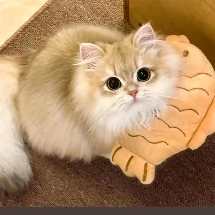 陈丽丽老师