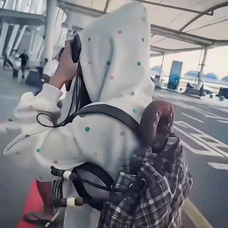 鹤扰