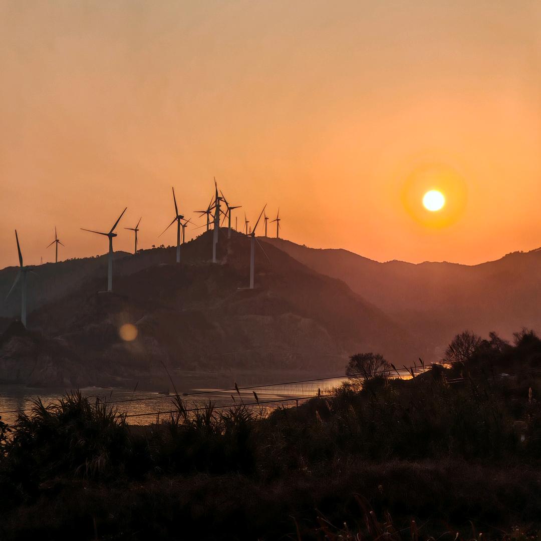 菠萝蜜ʕ ᵔᴥᵔ ʔ