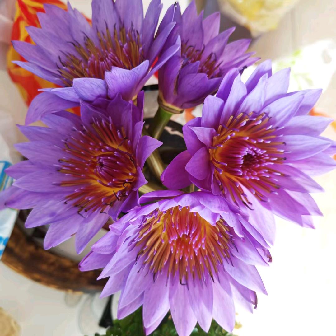 除了你万敌不侵