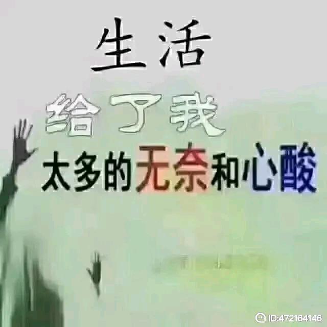 @红尘俗客@