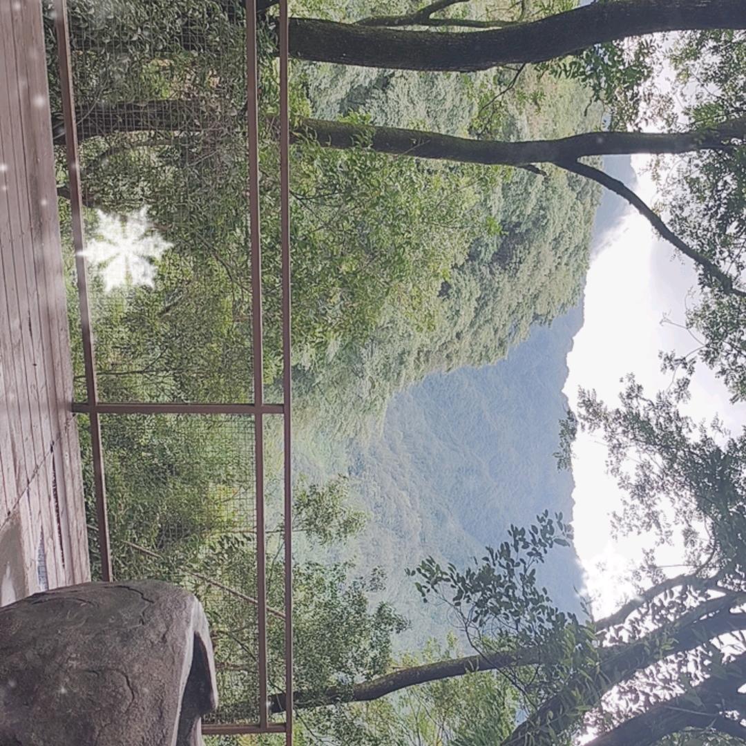 自然崇拜，一站服务