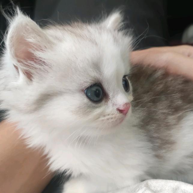 赛纳3D打印真人手办-洛阳店