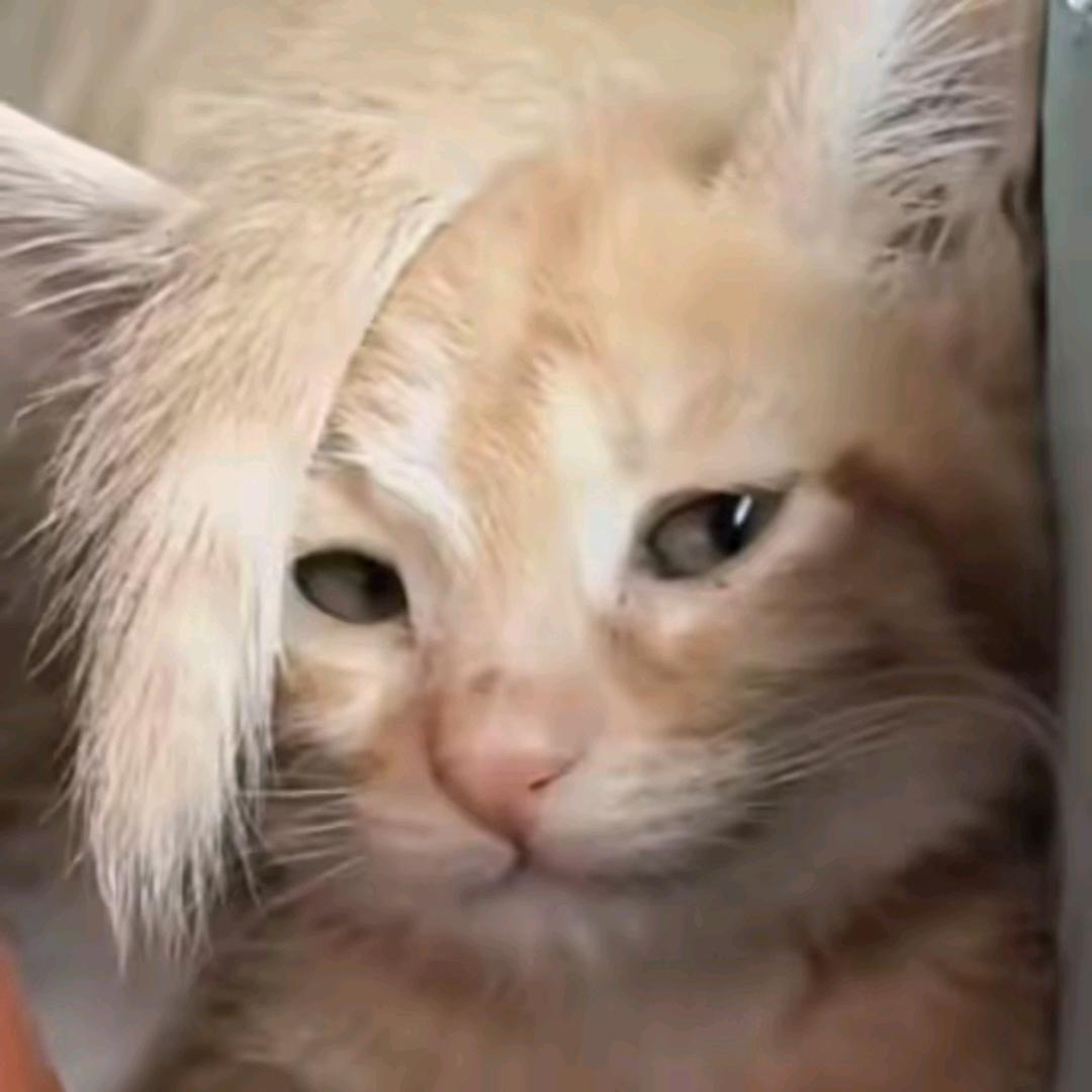 跟老婆吵架分头睡没忍住69和好了