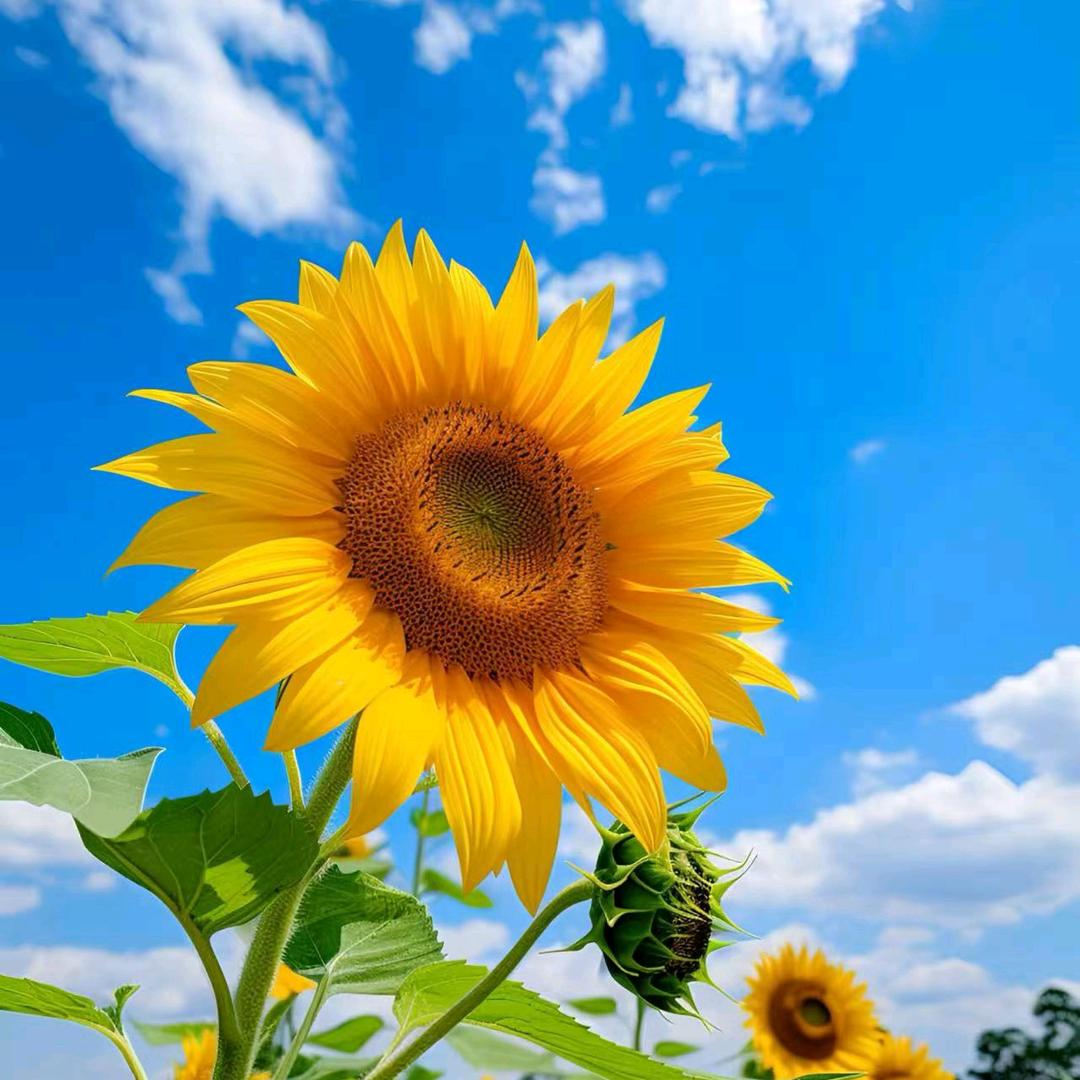 七月老师轻运动