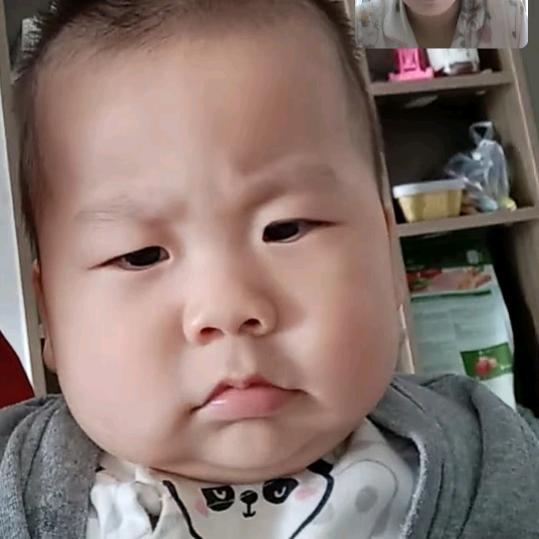 飞鱼𣎴想飞