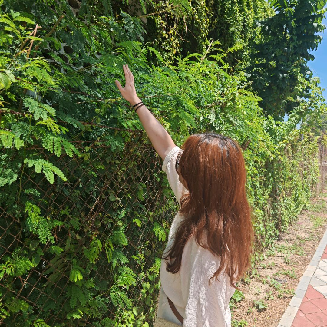 徐公子